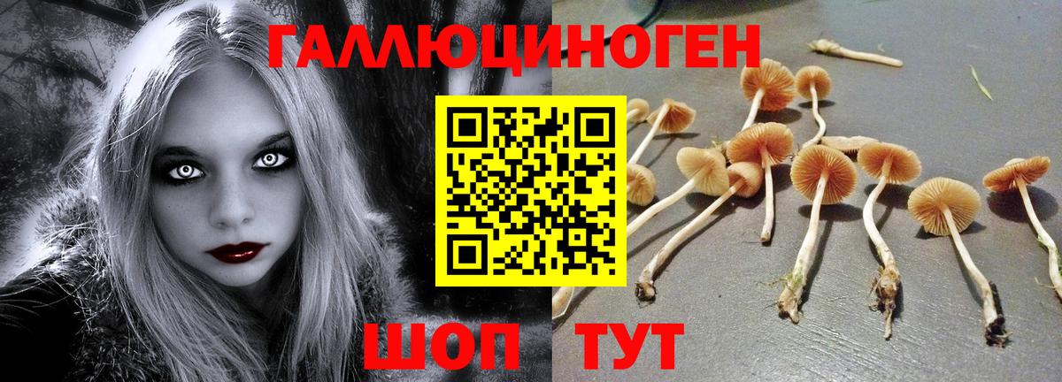 Псилоцибиновые грибы мицелий Лангепас