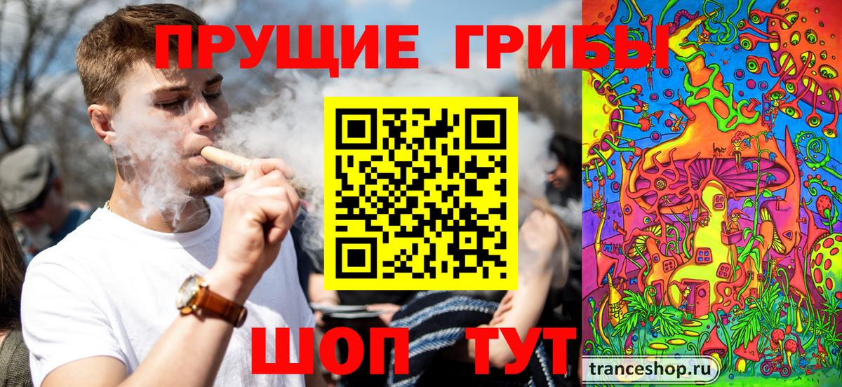 Лангепас  Псилоцибиновые грибы Psilocybine cubensis  Вход с VPN 